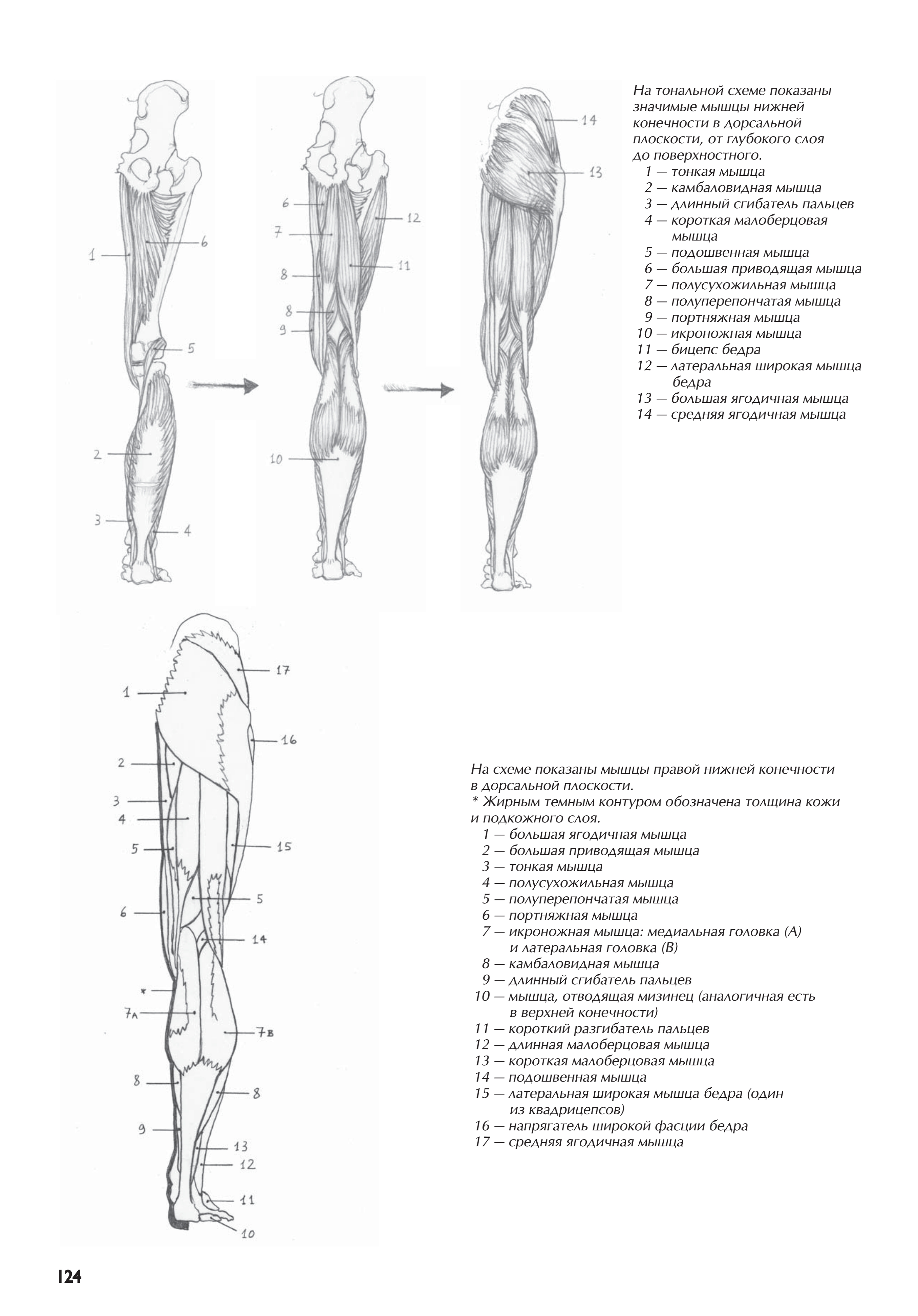 آموزش نقاشی طراحی سیاه قلم شهرری